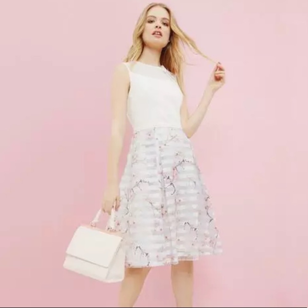 Ted Baker Dress